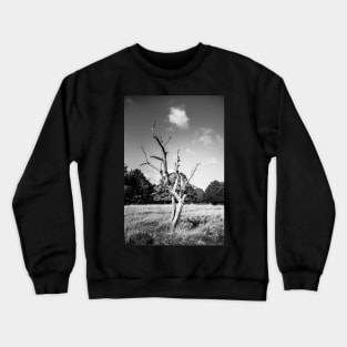 Lone Dead Tree Crewneck Sweatshirt